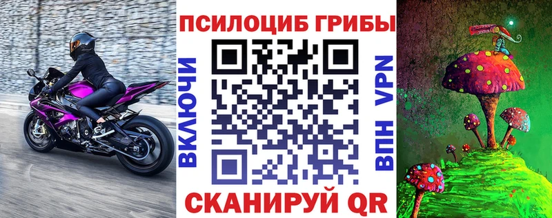 Купить  Гвардейск  Псилоцибиновые грибы GOLDEN TEACHER 